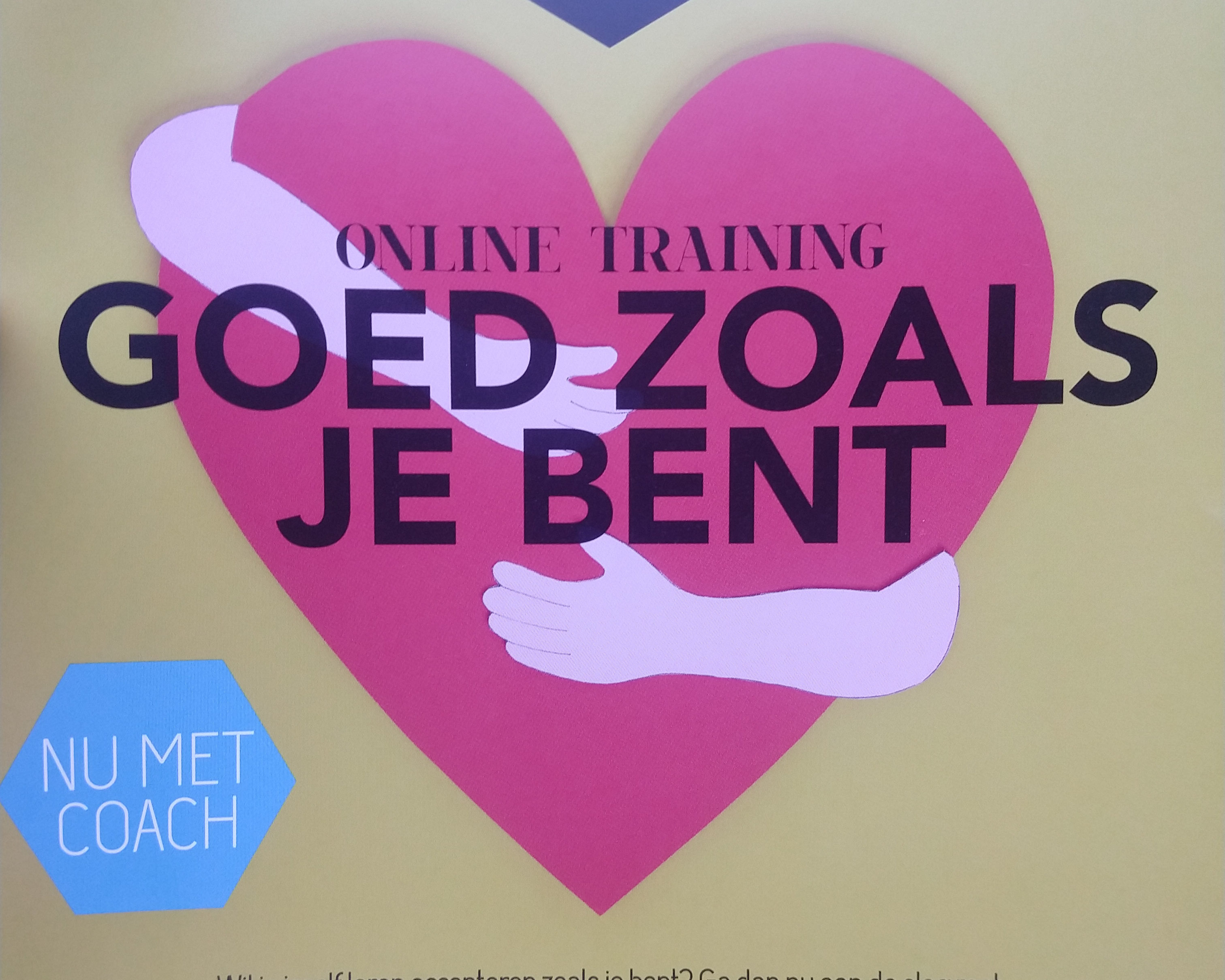 online training met coaching