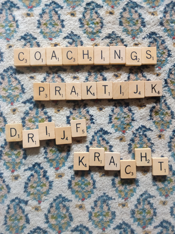Loopbaancoaching loopbaancoach coachingspraktijk Drijfkracht